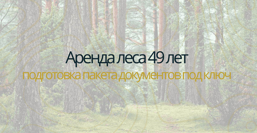 Аренда леса на 49 лет Аренда леса на 49 лет в Красноармейске